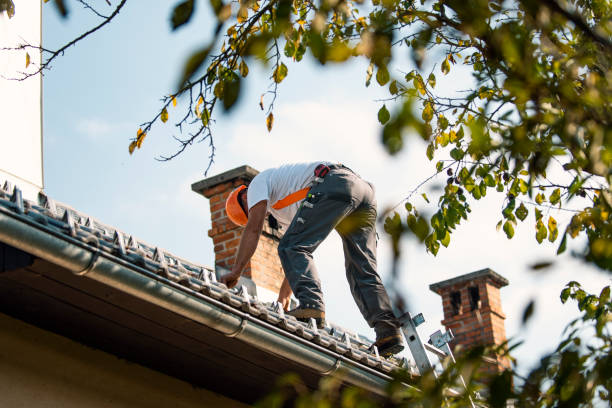 Best Roof Waterproofing Services  in Brookville, OH