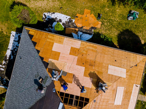 Roof Gutter Cleaning in Brookville, OH