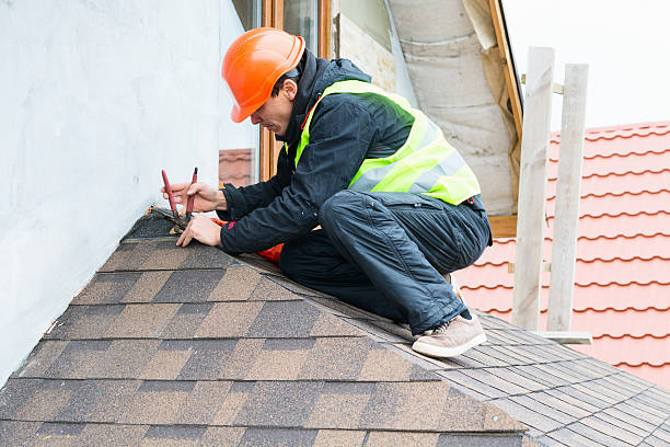 Best Roof Gutter Cleaning  in Brookville, OH