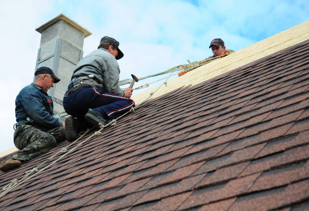 Best Roof Maintenance Services  in Brookville, OH
